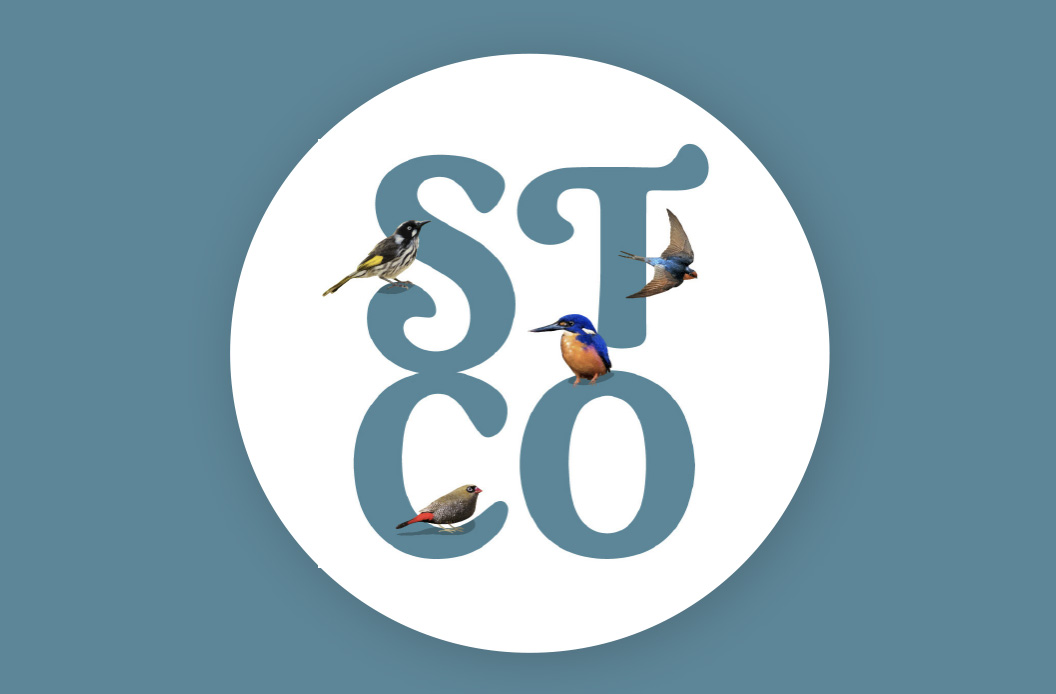 STCO - Favicon 1b