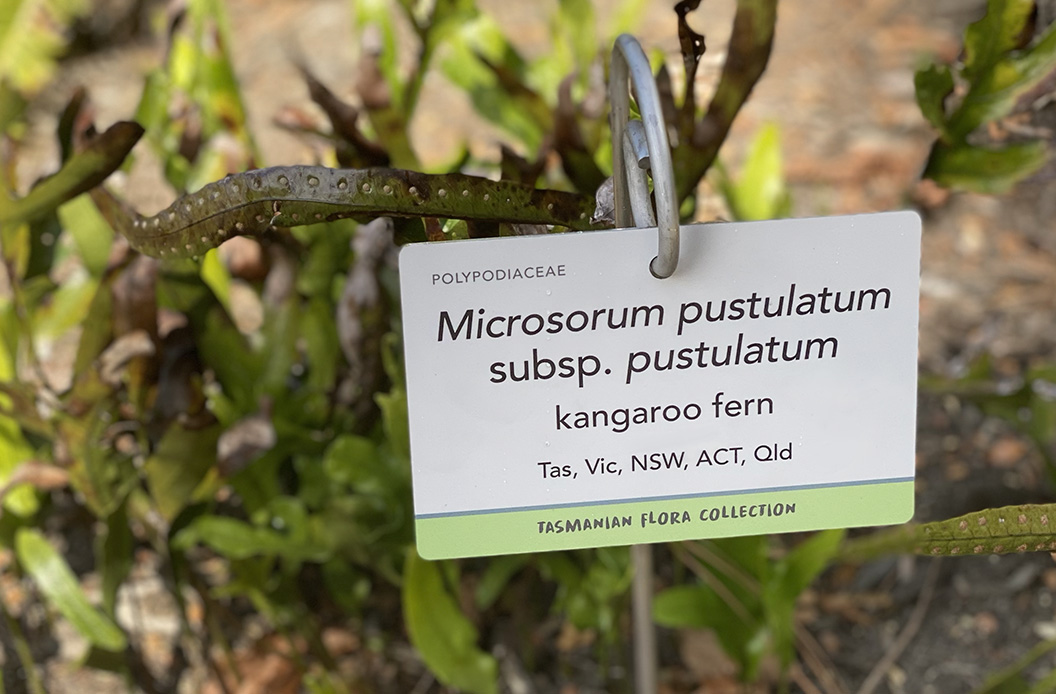 Small hanging garden sign