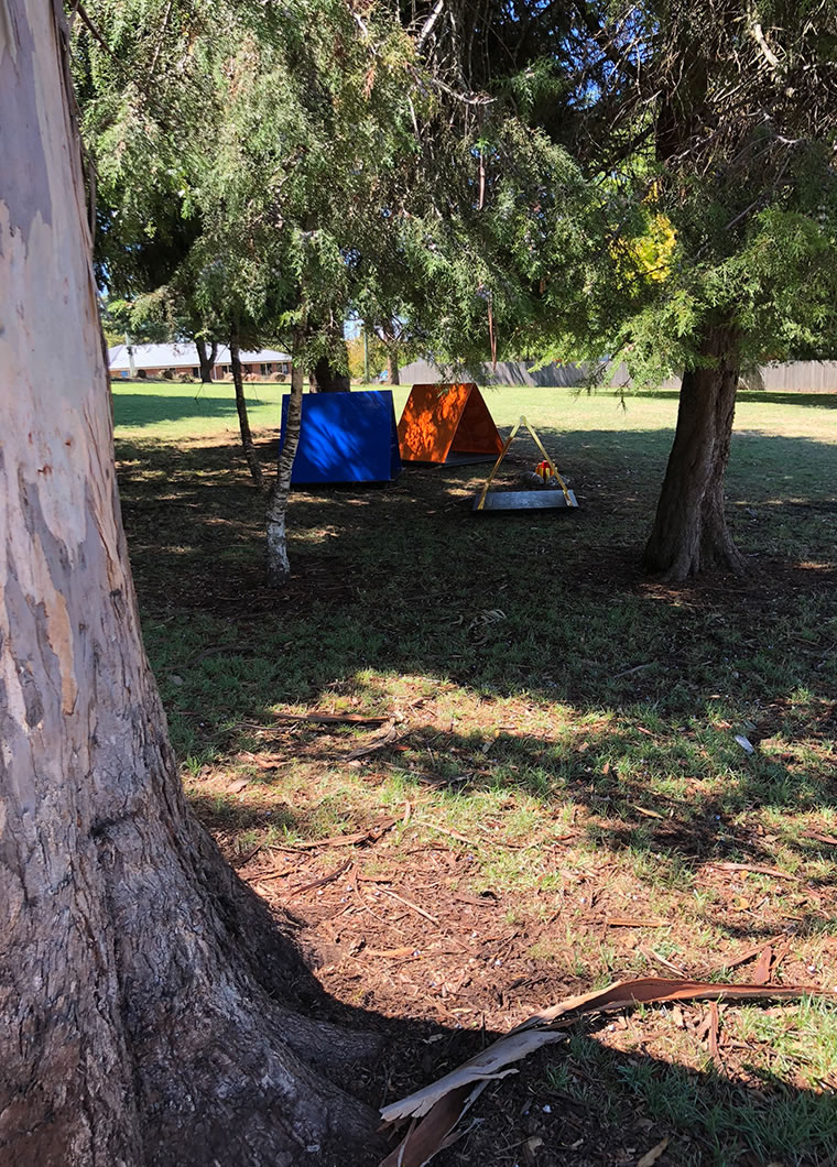 Deloraine Primary School trees